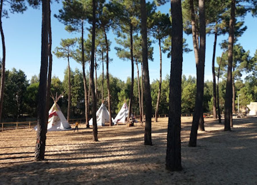 Explore the serene beauty of Parque Augusto Pólvora, a tranquil urban park in Sesimbra, perfect for relaxation, picnics, and nature walks.