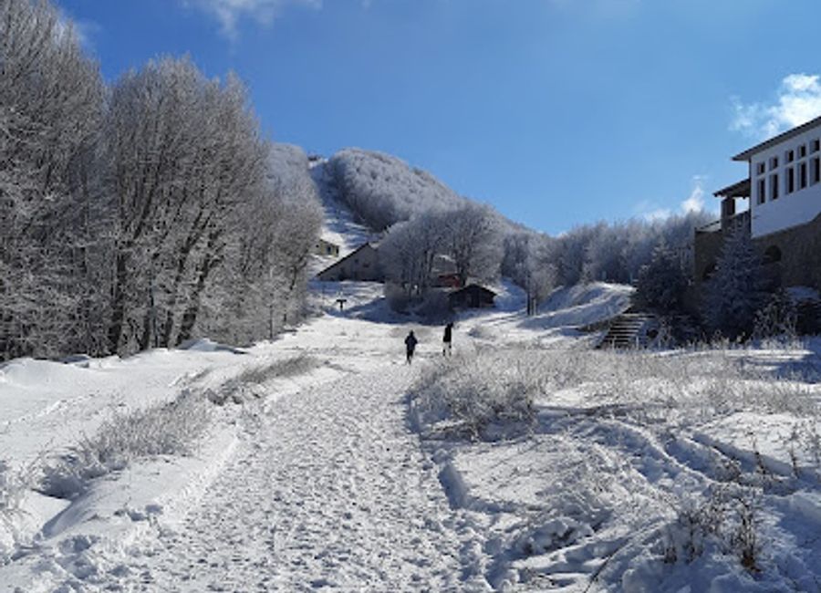 Discover the exhilarating slopes and breathtaking views of Pelion Ski Centre, a premier ski resort in the heart of Zagora-Mouresi, Greece.