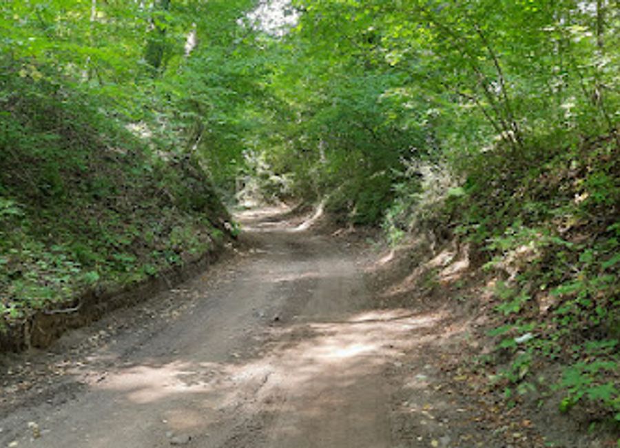 Explore Wąwóz Czarci Jar, a stunning natural gorge in Poland, where breathtaking landscapes and unique geological features await every nature lover.