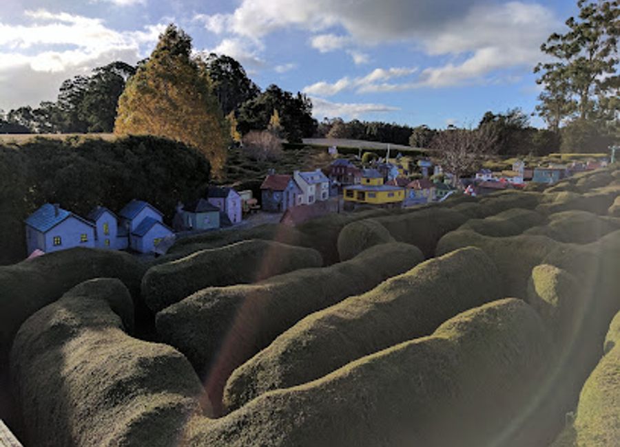 Experience the whimsical charm of Tasmazia & The Village of Lower Crackpot, where mazes and laughter await in the heart of Tasmania.