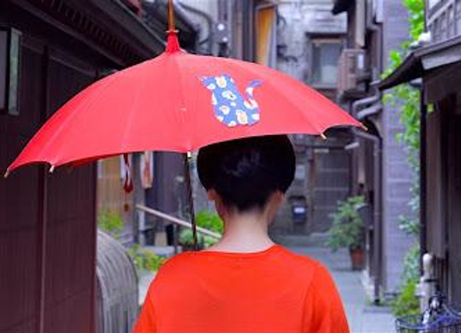 Experience the enchanting beauty and cultural depth of Kanazawa through guided tours that reveal Japan's hidden gems and historical treasures.