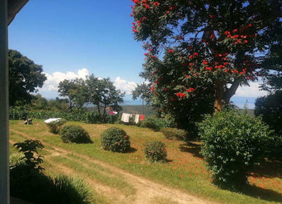 Discover the rich history and cultural heritage of Livingstonia at the Stone House Museum, a captivating destination for history enthusiasts and curious travelers.