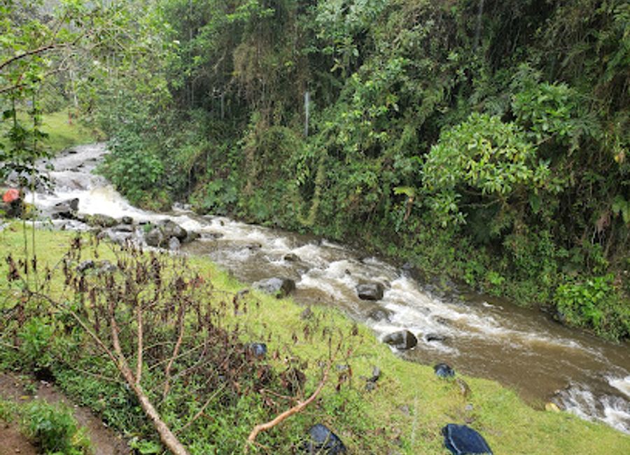 Discover the enchanting beauty of Pacha Quindi Nature Refuge, an ecological paradise in Tandayapa, Ecuador, perfect for nature lovers and eco-adventurers.