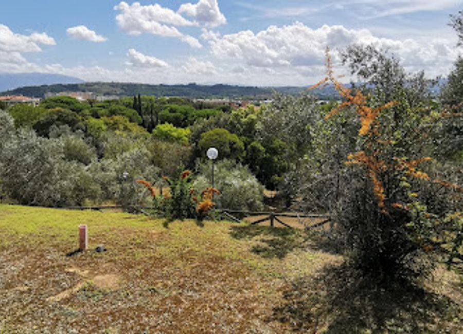 Explore the ancient Etruscan tombs at Ipogeo dei Volumni and Necropoli del Palazzone in Perugia, a must-visit destination for history enthusiasts.