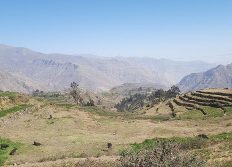 Experience the stunning panoramic views of the Andes at Mirador Morro de Capellan, a hidden gem in Viraco, Peru.