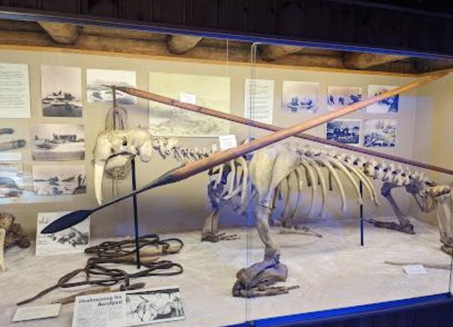 Explore the rich history of Arctic exploration at The Polar Museum in Tromsø - a captivating destination for culture and history enthusiasts.