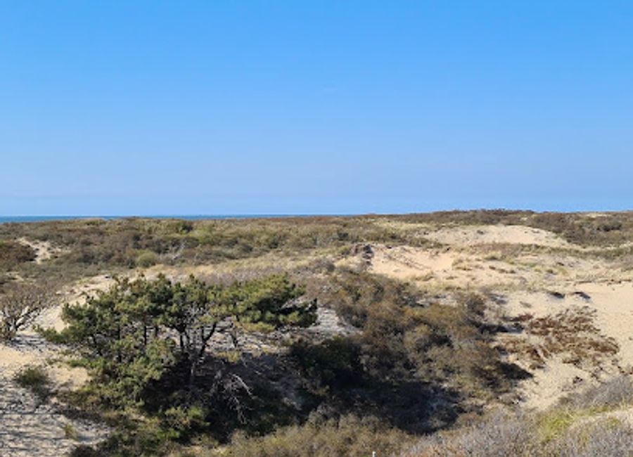 Experience the serene beauty of Viewpoint Kachelduin, a scenic nature preserve in Noordwijk, perfect for outdoor adventures and breathtaking views.