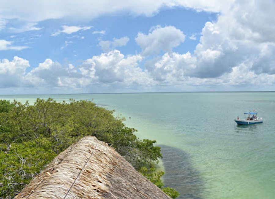 Discover the untouched beauty of Isla de la Pasión, a serene nature preserve in Mexico, perfect for eco-tourism and nature lovers.