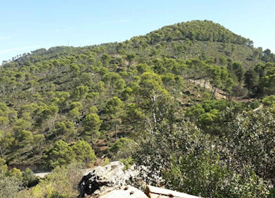 Explore Bab Rmila Natural Park in Meknès, a stunning nature preserve offering lush greenery, serene paths, and a sanctuary for diverse wildlife.