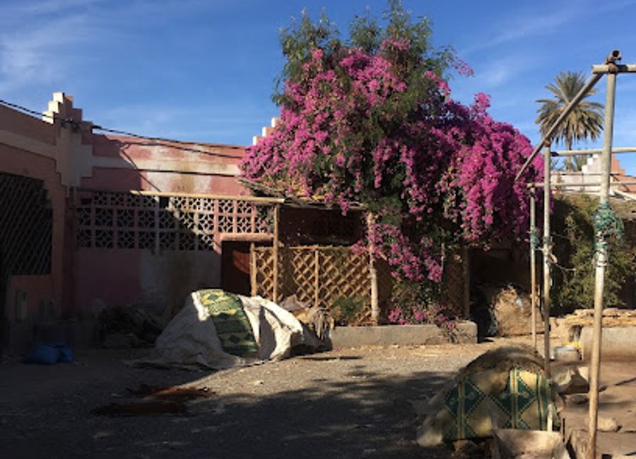 Explore the vibrant world of Moroccan leather craftsmanship at Dar al-Dabbagh in Taroudant, a must-visit for culture enthusiasts and souvenir hunters.