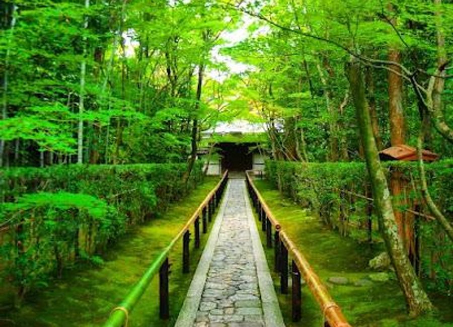 Explore Kōtō-in Temple, a tranquil Buddhist haven in Kyoto, where serene gardens and Zen aesthetics invite reflection and peace.
