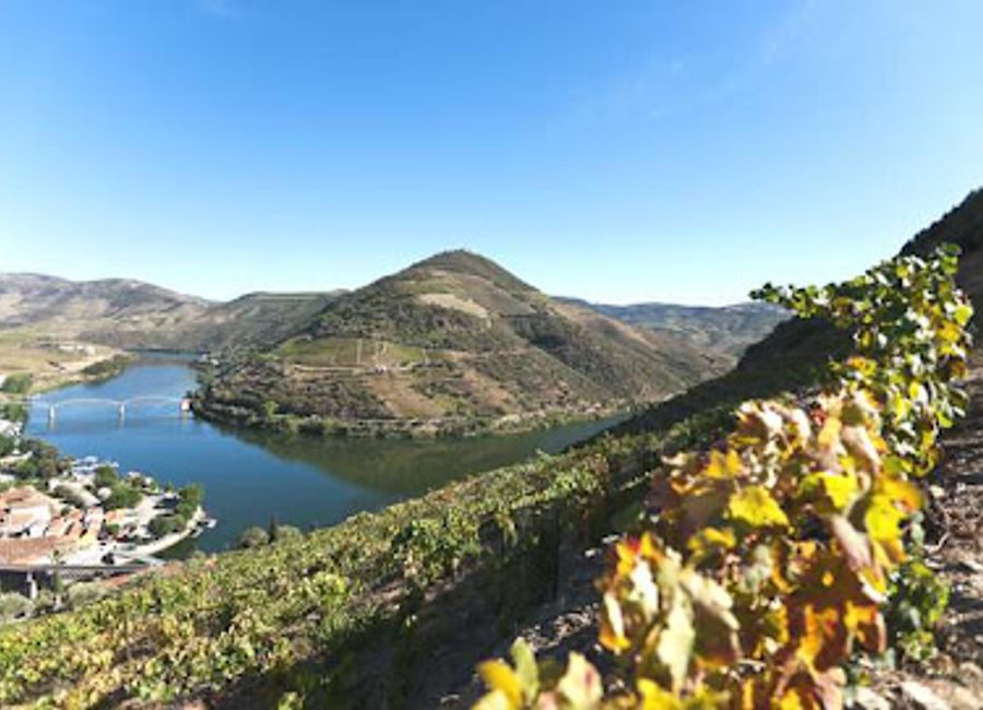 Discover the exquisite wines and breathtaking views at Quinta da Foz, a premier winery in Pinhão, Portugal's stunning Douro Valley.