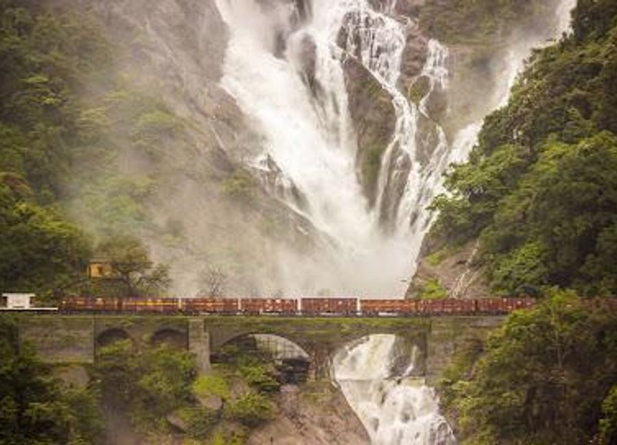 Discover the enchanting Dudhsagar Falls in Goa, a breathtaking natural spectacle with stunning views and thrilling adventures amidst lush greenery.