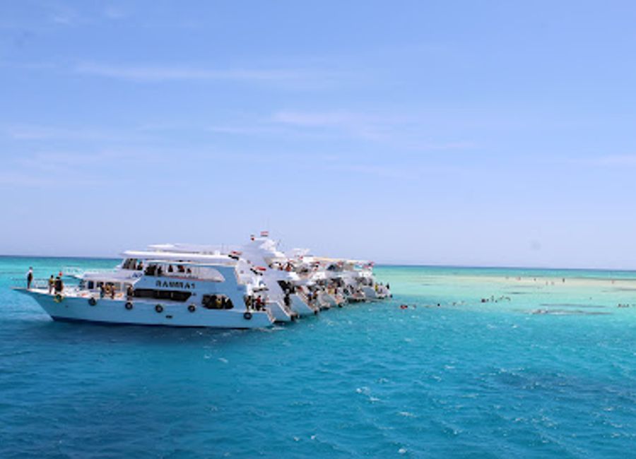 Discover L'ILE BLANCHE in Second Sharm Al Sheikh, a stunning tropical paradise for snorkeling, sunbathing, and experiencing vibrant marine life.
