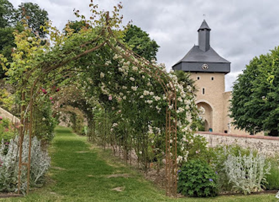 Discover the stunning Roseraie du Château in Château-Renault, a floral paradise perfect for relaxation and photography amidst vibrant rose gardens.