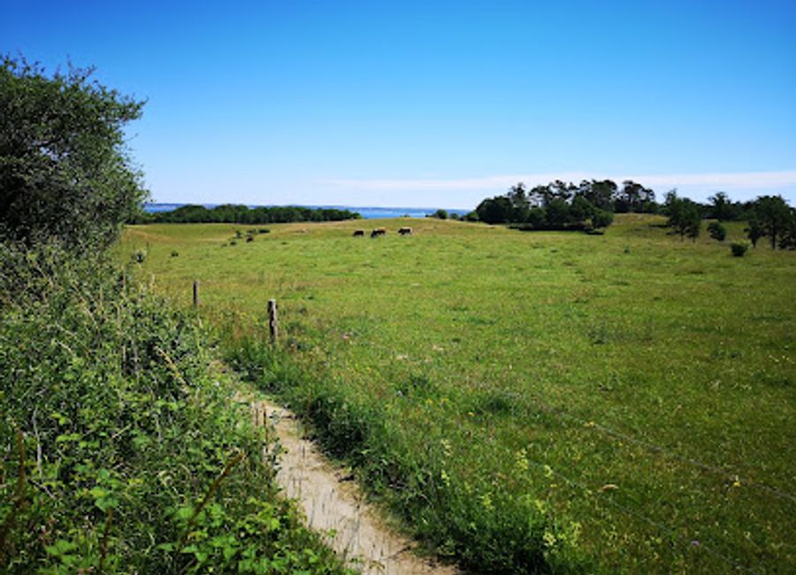 Discover the natural beauty of Mols Bjerge Besøgscenter, a premier tourist attraction in Denmark, perfect for nature lovers and adventurers alike.