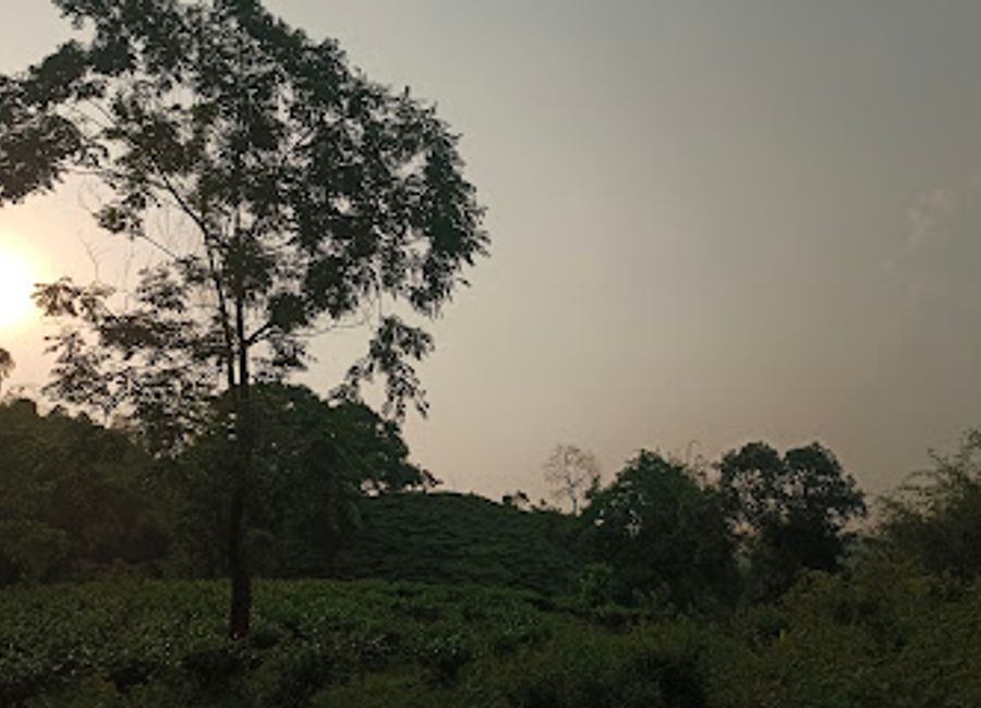 Discover the stunning landscapes and rich biodiversity at Kaziranga Geleki Trek Viewpoint 1, a hidden gem in Assam's wilderness.