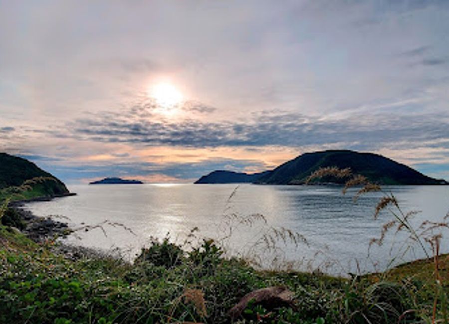 Explore the vibrant Côn Đảo Market, where local culture thrives through fresh produce, delicious street food, and unique handmade crafts.