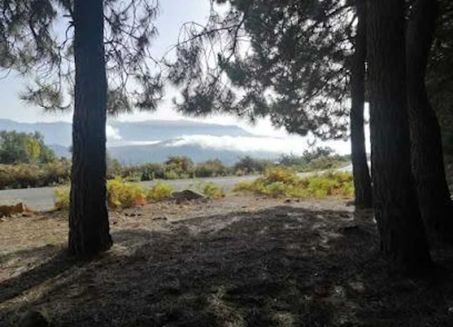 Discover the breathtaking beauty of Jebel Bouhachem Nature Reserve, a haven for nature lovers and adventurers in Morocco.