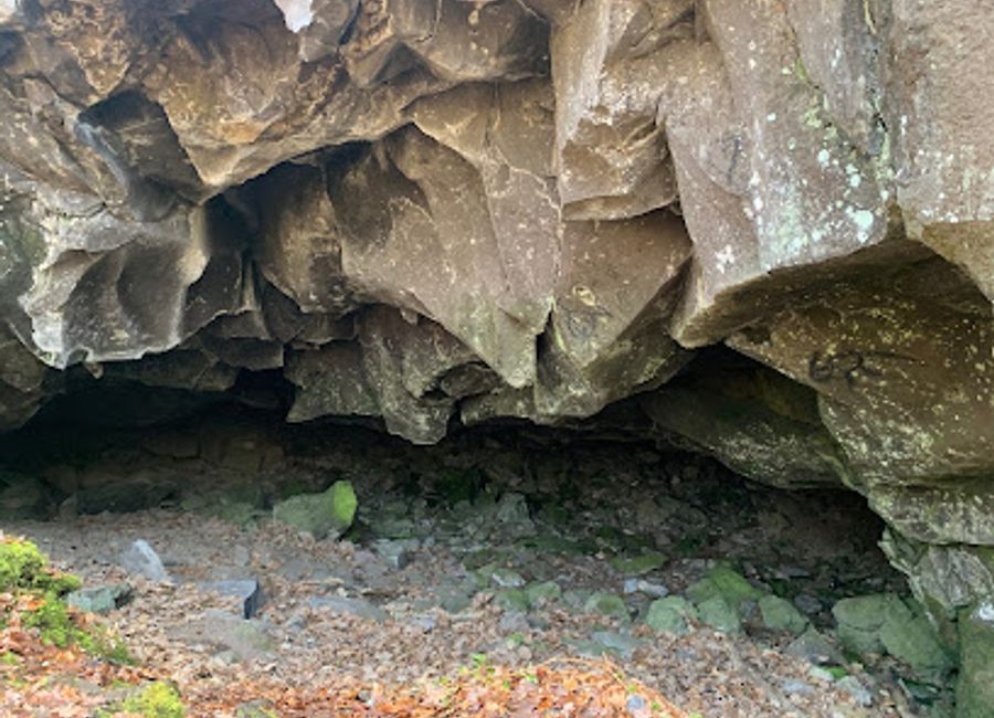 Explore a protected volcanic landscape, discover unique geological formations, and witness the crucial bat hibernation site at the heart of the Volvic water source in Auvergne.