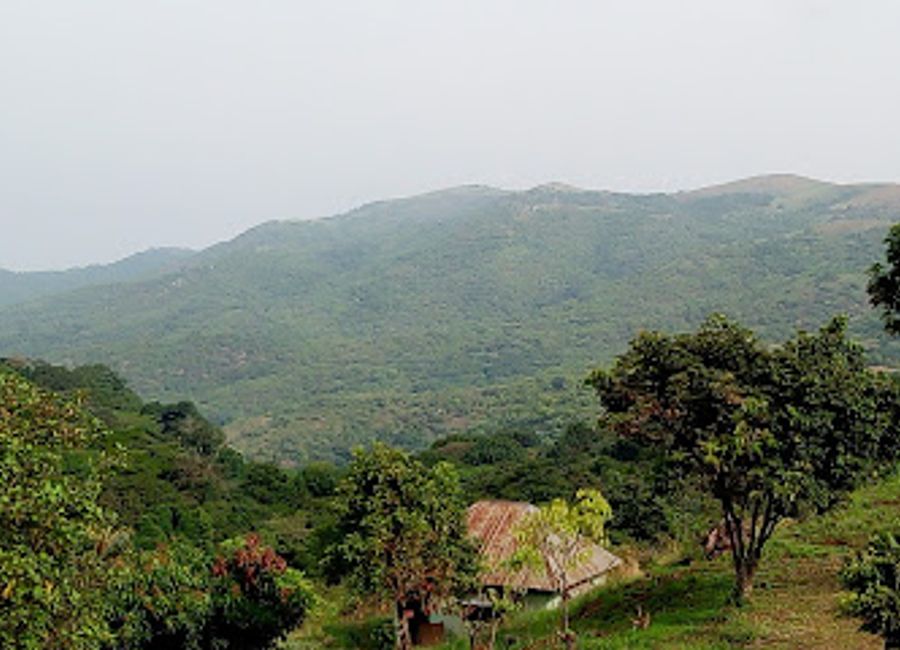 Explore the breathtaking Ngel Nyaki Forest Reserve, a national forest in Taraba, Nigeria, perfect for nature lovers and adventure seekers.