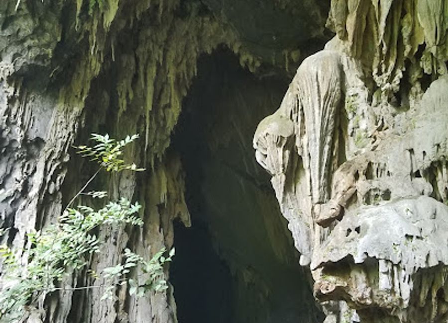 Discover the breathtaking beauty of Elephant Cave in Quang Binh Province, a natural wonder showcasing stunning limestone formations and rich geological history.