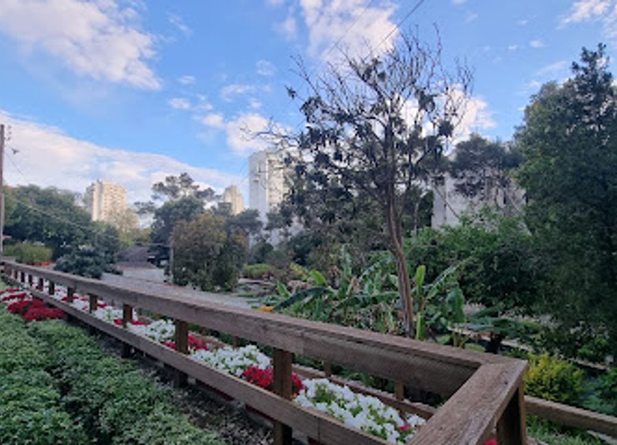 Explore the tranquility of Parque Urbano da Ribeira dos Mochos, a lush urban park in Cascais perfect for leisurely walks, picnics, and nature appreciation.