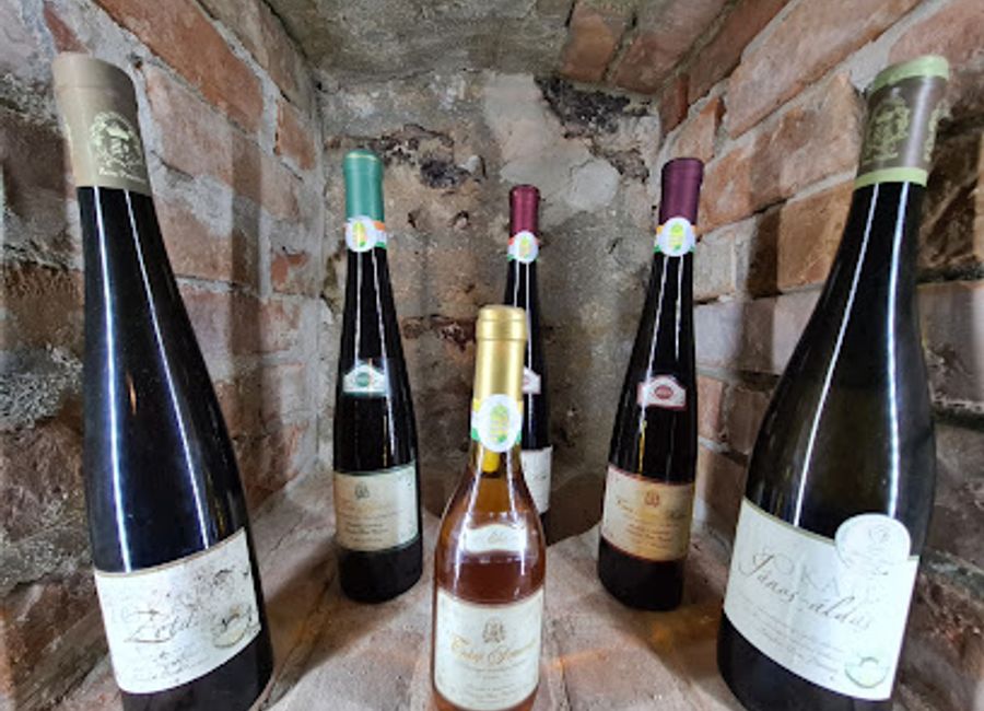 Discover the captivating history and culture of Tokaj at the Tokaj Museum, where wine heritage and local traditions come to life.