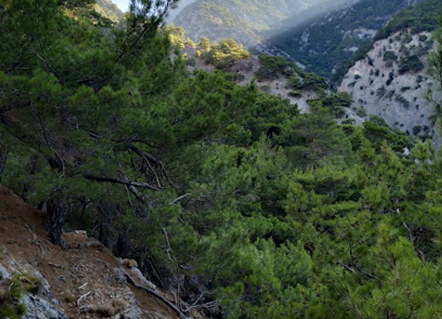 Explore the stunning natural beauty of Canyon Eligia in Crete, a hiker's paradise with breathtaking views and diverse wildlife.