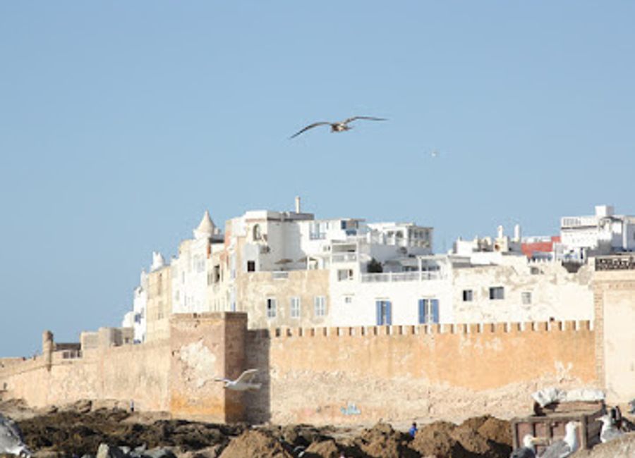 Discover the stunning landscapes of Essaouira with Be In Naturetours – your gateway to memorable hiking and sightseeing adventures in Morocco.