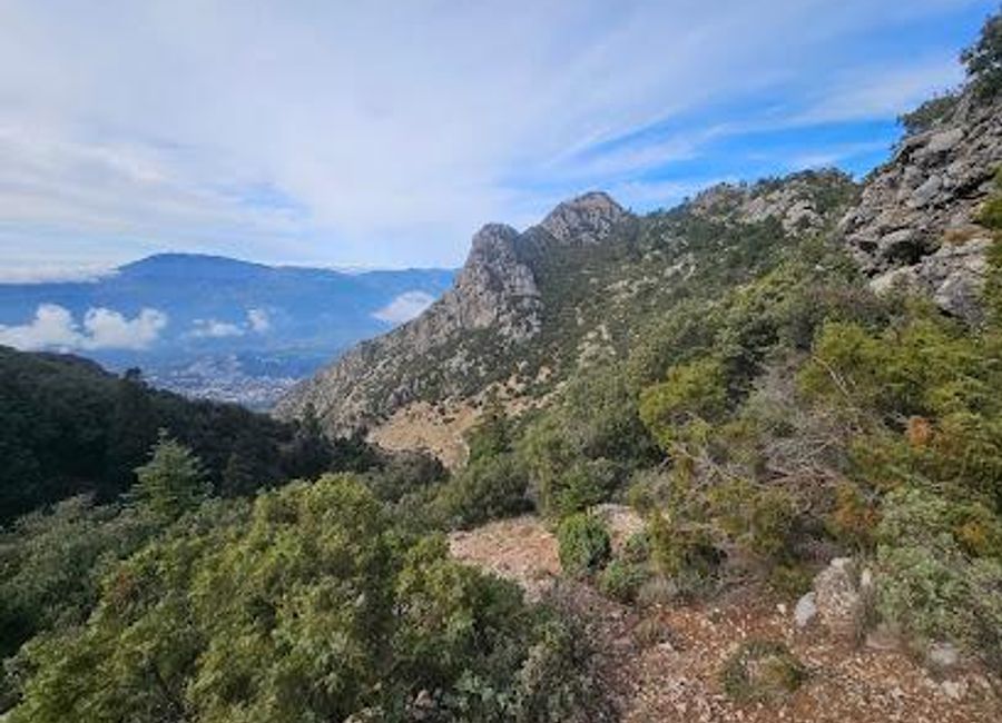Discover the breathtaking beauty and diverse wildlife of Parc National de Talassemtane, a hidden gem near Chefchaouen in Morocco.