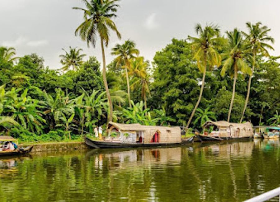 Experience the tranquil beauty of Kumarakom Backwaters, a serene paradise in Kerala, where lush landscapes meet serene waterways.