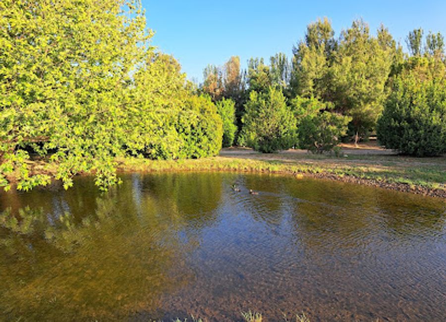 Explore the tranquil beauty of Arborètum Dr. Pius Font i Quer, a botanical garden in Lleida, showcasing diverse flora and an enchanting landscape.
