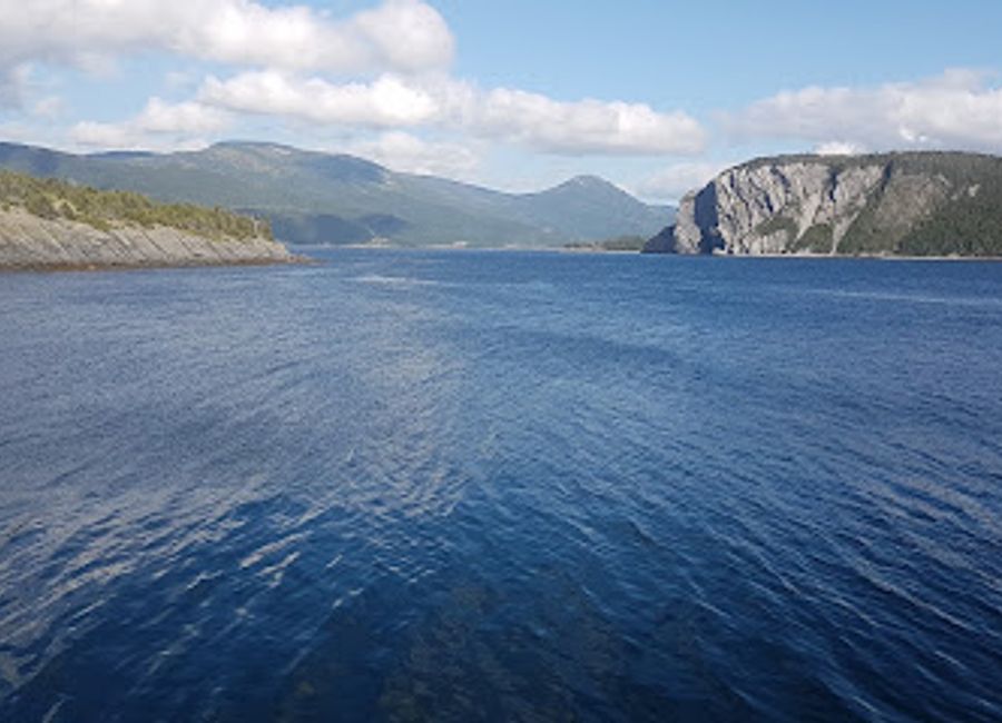 Explore the rich marine life and ecological wonders of Newfoundland at Bonne Bay Marine Station, a captivating aquarium and research facility.
