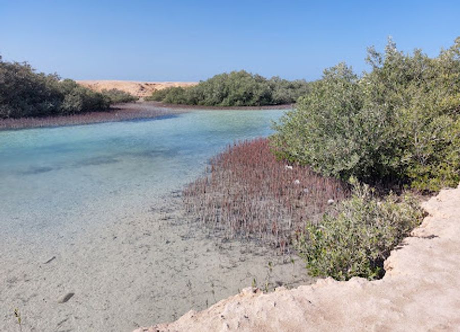Experience the stunning beauty of Hidden Bay in Ras Mohamed, where crystal-clear waters meet vibrant marine life in a tranquil setting.