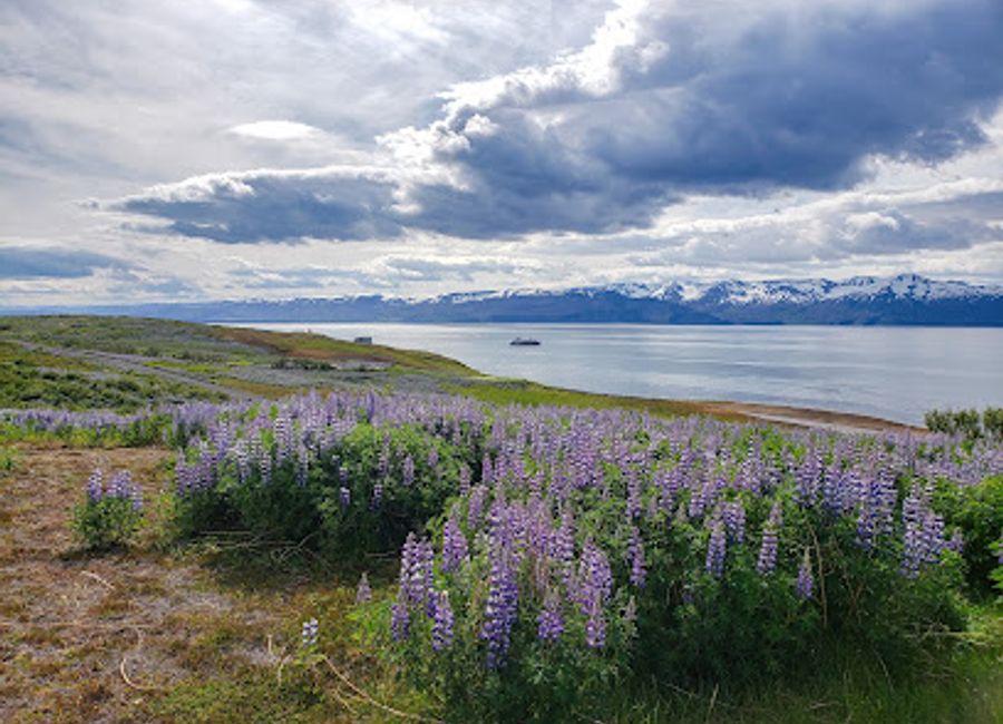 Experience the breathtaking views at Husavik viewpoint parking, a scenic gem in Iceland perfect for photography, nature lovers, and explorers.