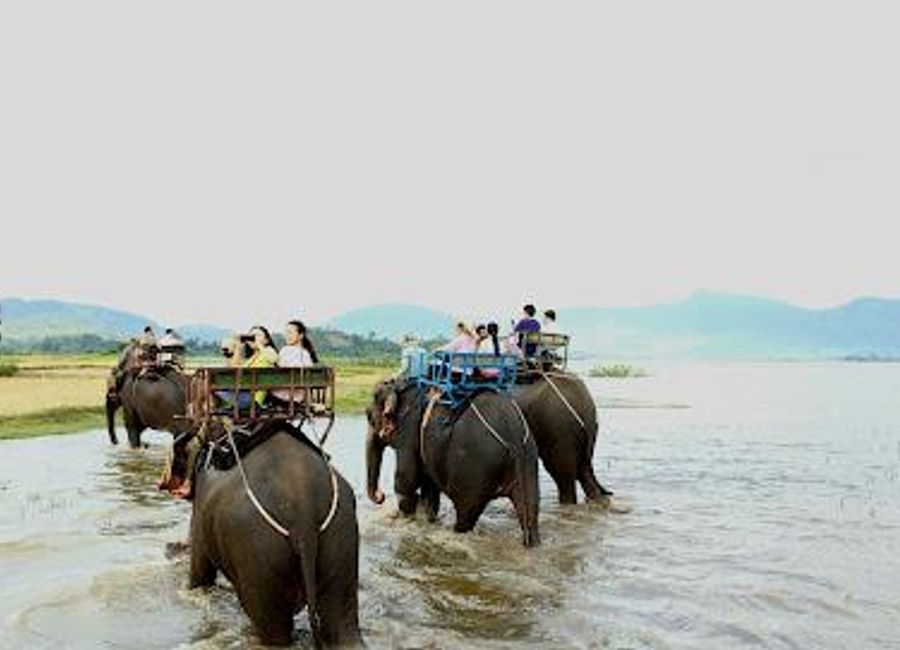 Discover the tranquil beauty and cultural richness of Lăk Lake in Dak Lak, Vietnam, a perfect retreat for nature lovers and adventure seekers.