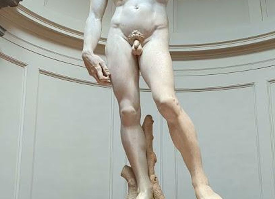 Explore the Florence Academy of Fine Arts, home to Michelangelo's David and a treasure trove of Renaissance art and education in Florence.