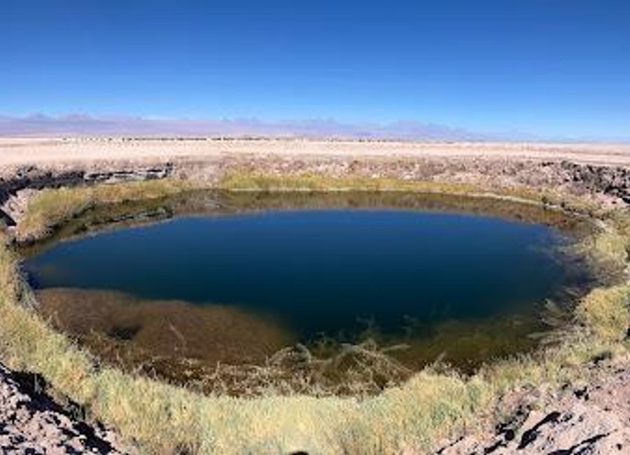 Discover the surreal beauty of Ojos del Salar, San Pedro de Atacama, where crystal-clear pools meet the stark desert landscape.