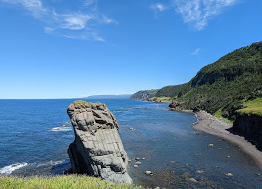 Explore the stunning Green Gardens Trail in Gros Morne National Park, where breathtaking coastal views and rich biodiversity await every adventurer.