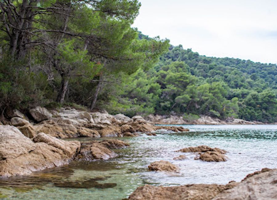 Experience the tranquil beauty of Uvala Vućine in Žuljana, Croatia, where stunning waters meet serene landscapes.
