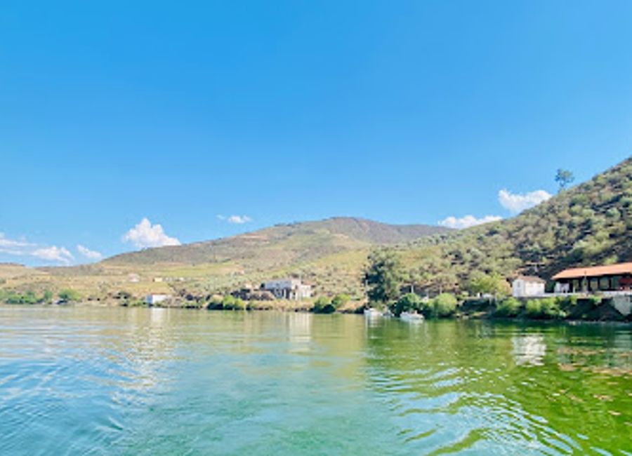 Discover the beauty of the Douro River with unforgettable boat tours that showcase stunning landscapes, rich culture, and Portugal's renowned wine region.