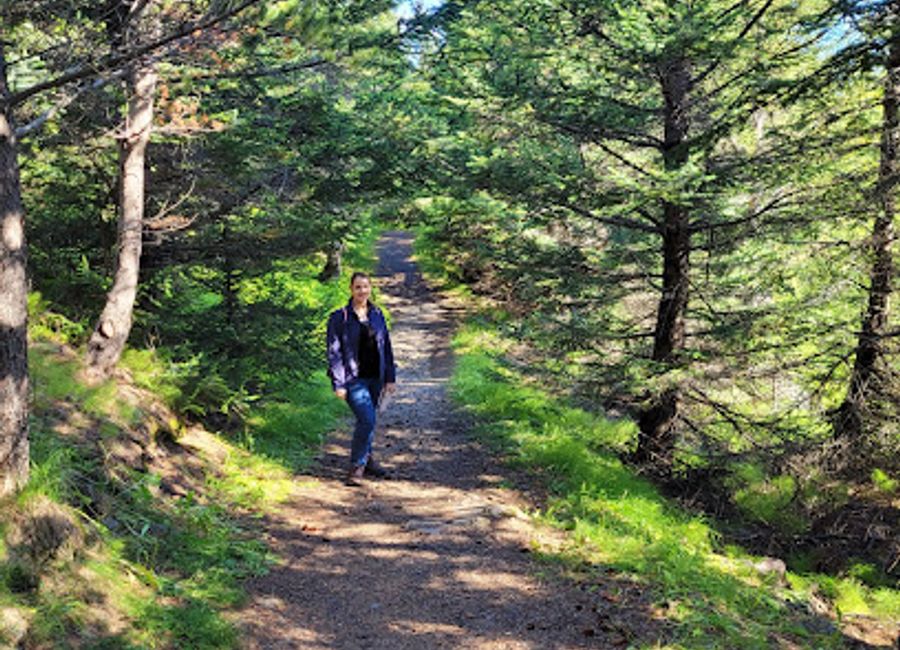 Explore the enchanting beauty of Stórurðarlundur, a serene park in Ísafjörður, Iceland, perfect for nature lovers and outdoor enthusiasts.