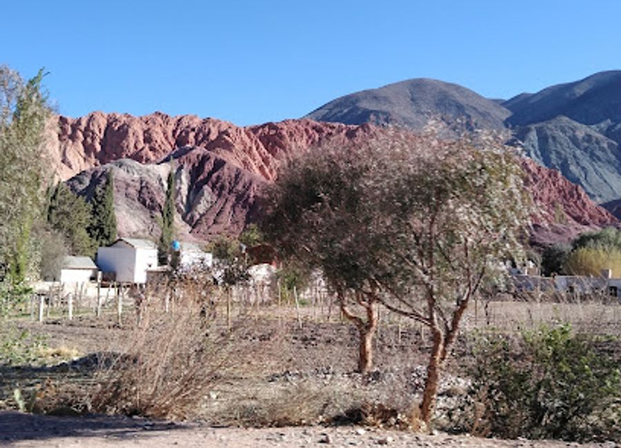 Discover the stunning beauty of Camino a la Garganta del Diablo in Tilcara, Jujuy, where nature's wonders await every traveler.