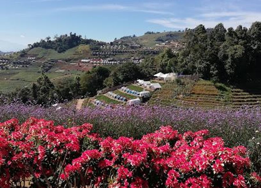 Discover the breathtaking beauty of Mon Jam, a stunning garden retreat in Chiang Mai, offering panoramic views and a tranquil escape into nature.
