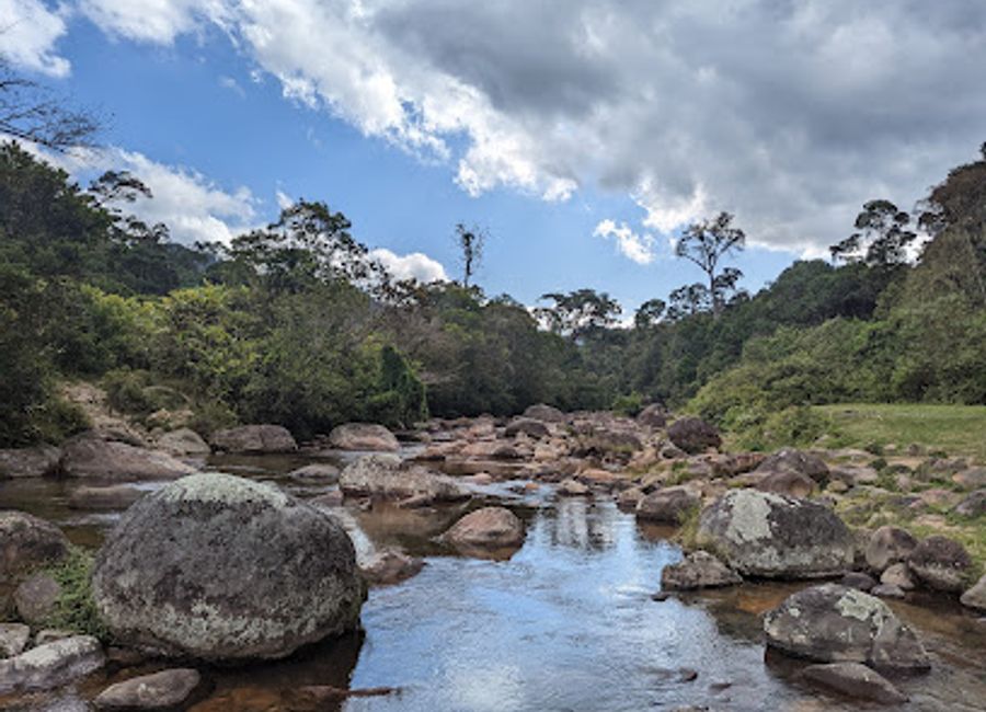 Explore the breathtaking biodiversity of Riserva Speciale di Anjanaharibe Sud, a nature lover's paradise in Madagascar's enchanting rainforest.