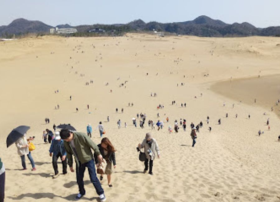 Explore the breathtaking Tottori Sand Dunes Park Service Center, a unique blend of natural beauty, adventure, and cultural insights in Japan.