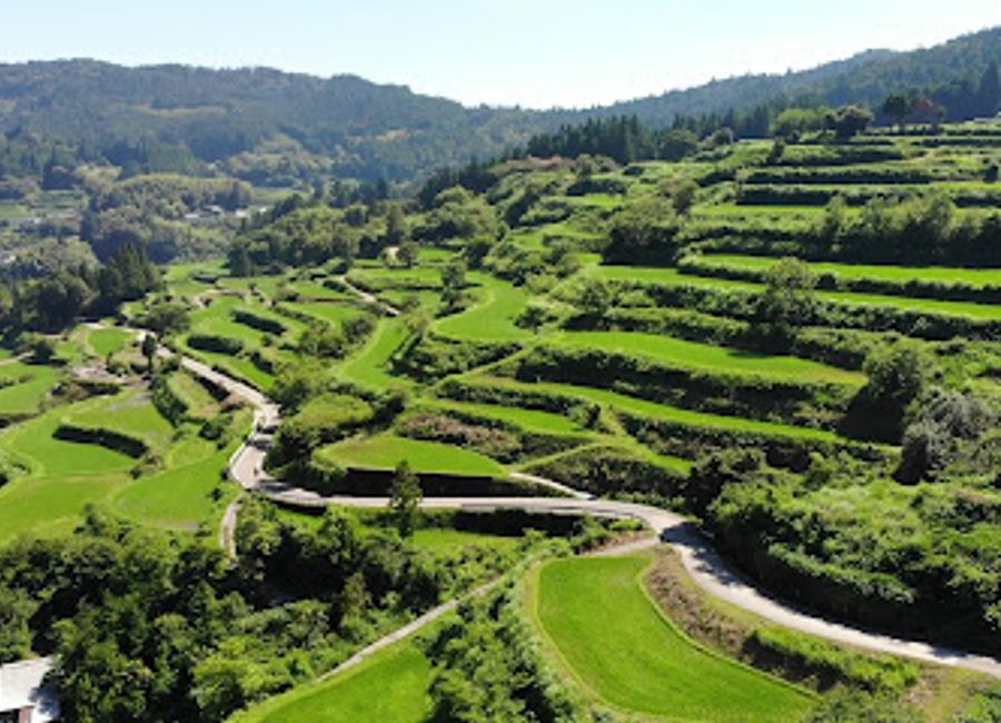 Discover the beauty and tradition of Yoshinobu Rice Terraces in Kochi, Japan, a paradise for nature lovers and cultural enthusiasts alike.