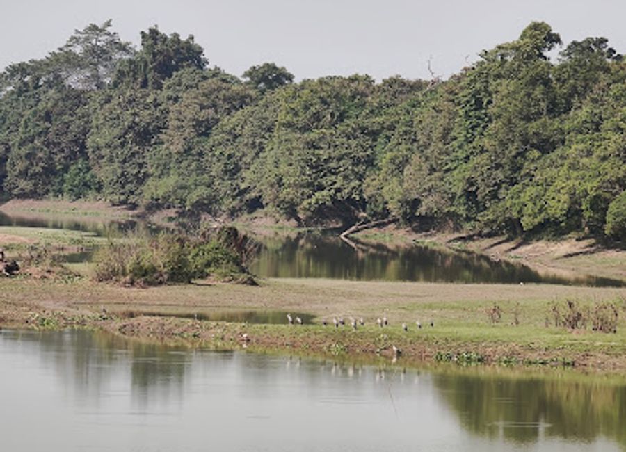 Discover the wild wonders of Kaziranga Western Range, a UNESCO World Heritage Site home to the iconic one-horned rhinoceros in Assam, India.