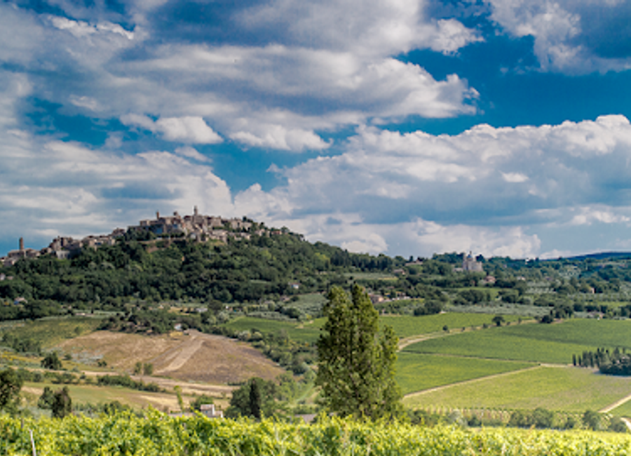 Experience the authentic flavors of Tuscany at Icario Winery in Montepulciano, where tradition meets elegance in every glass.